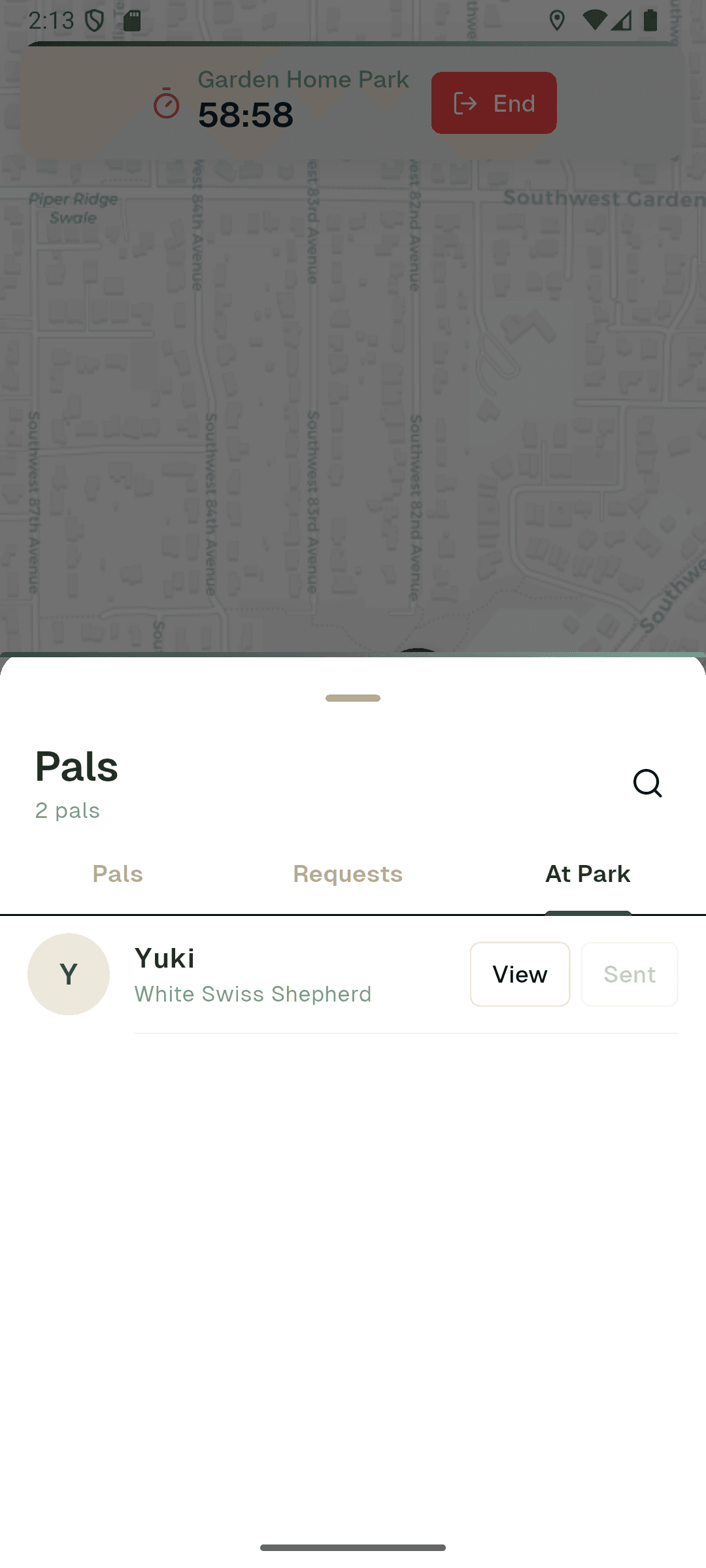 At Park tab showing dogs available to connect with