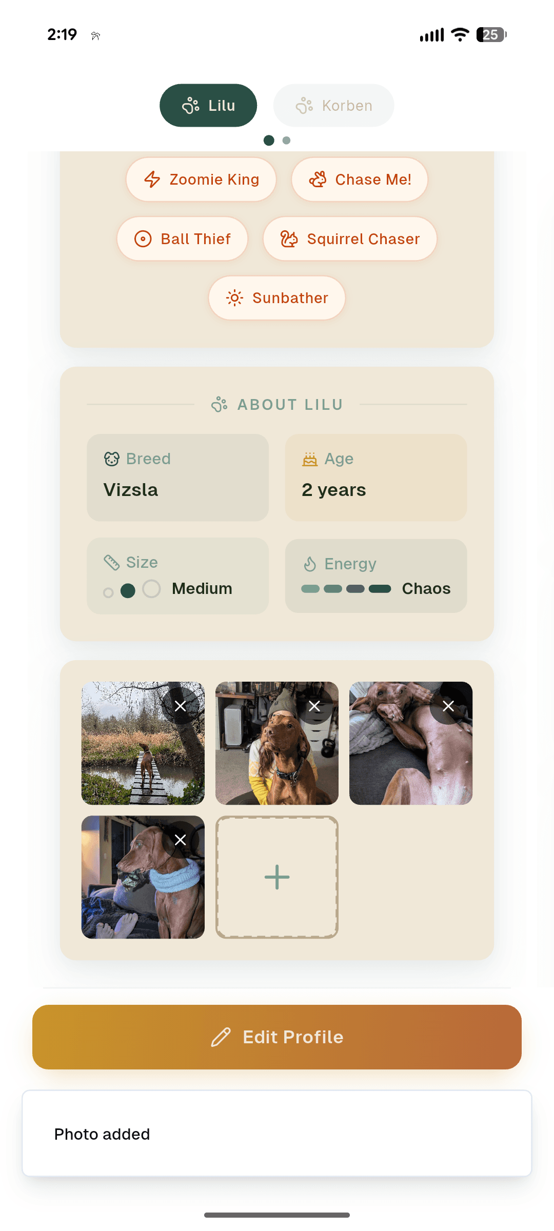 Lilu's profile scrolled down showing size, energy level, and photo gallery