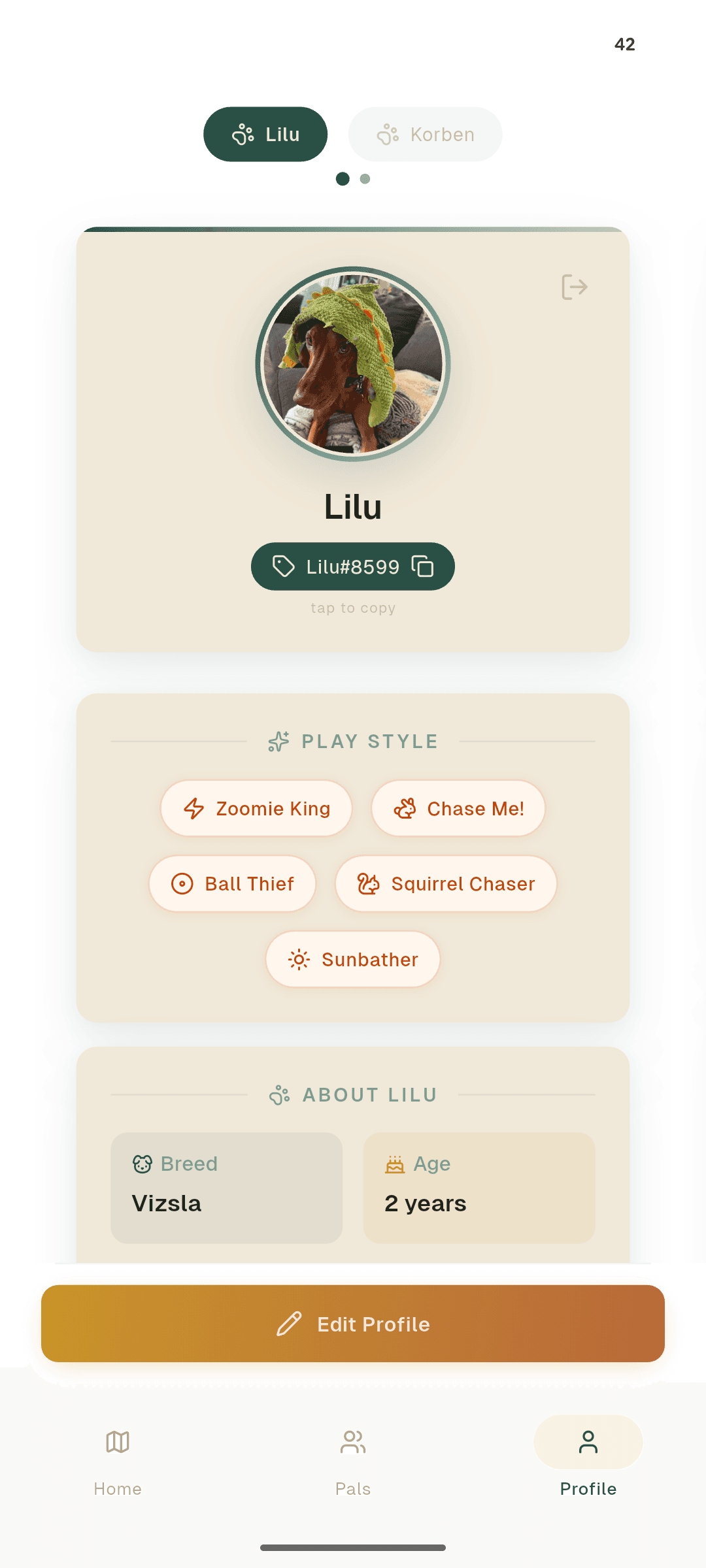 Lilu's dog profile showing play style tags and breed info