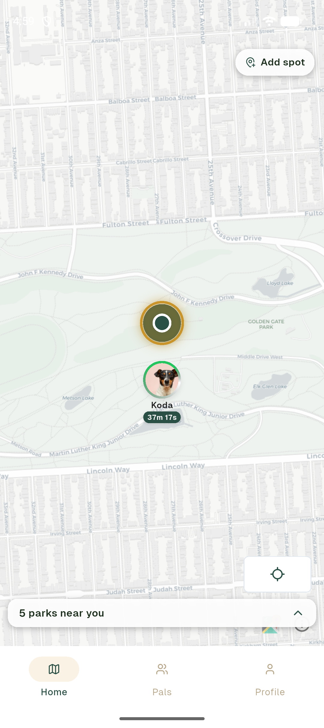 Puppy Pals home map showing nearby parks, friend profile photos pinned at one park with a comet-tail ring, and an occupancy badge.