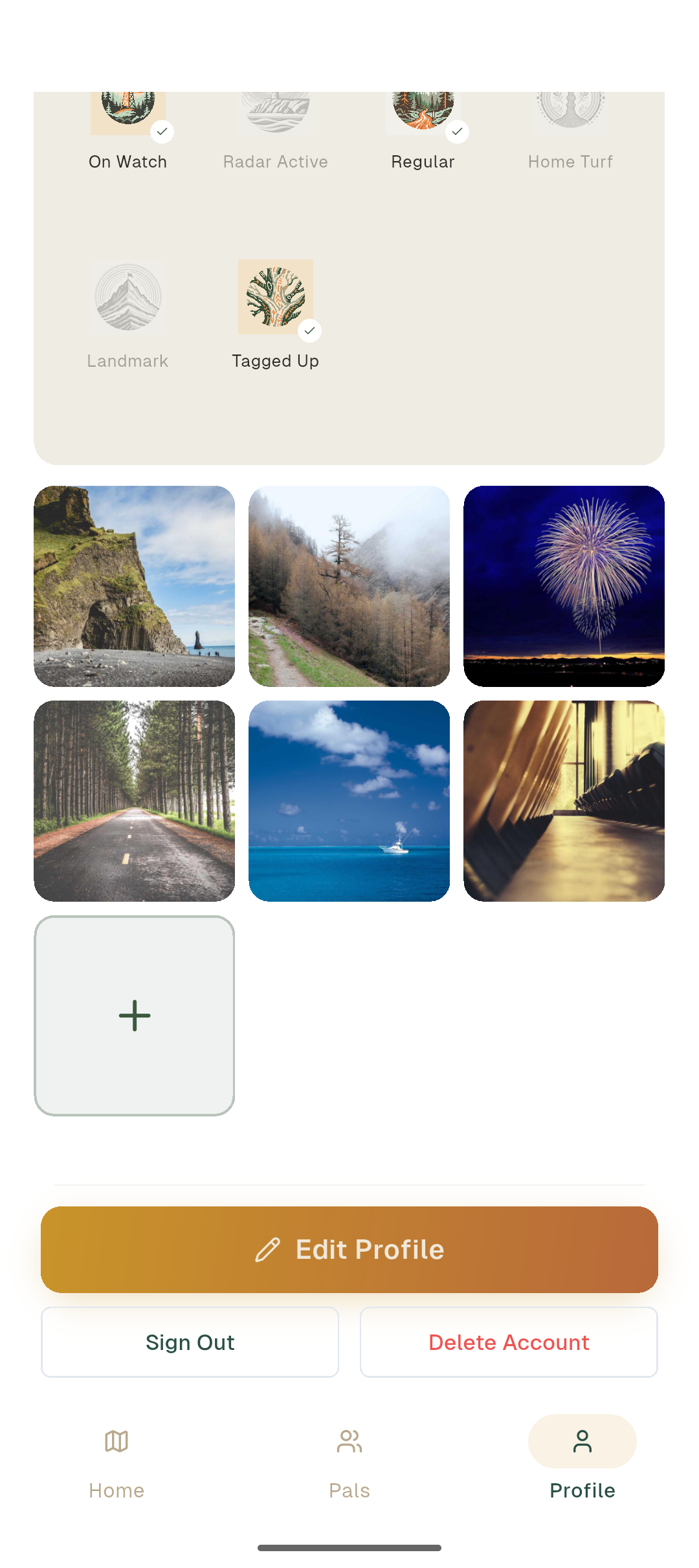 Profile screen scrolled to the play style tags row — one primary forest-green chip and four peach-background secondary chips — above a 3 by 2 photo gallery grid with a +N overlay on the last tile.