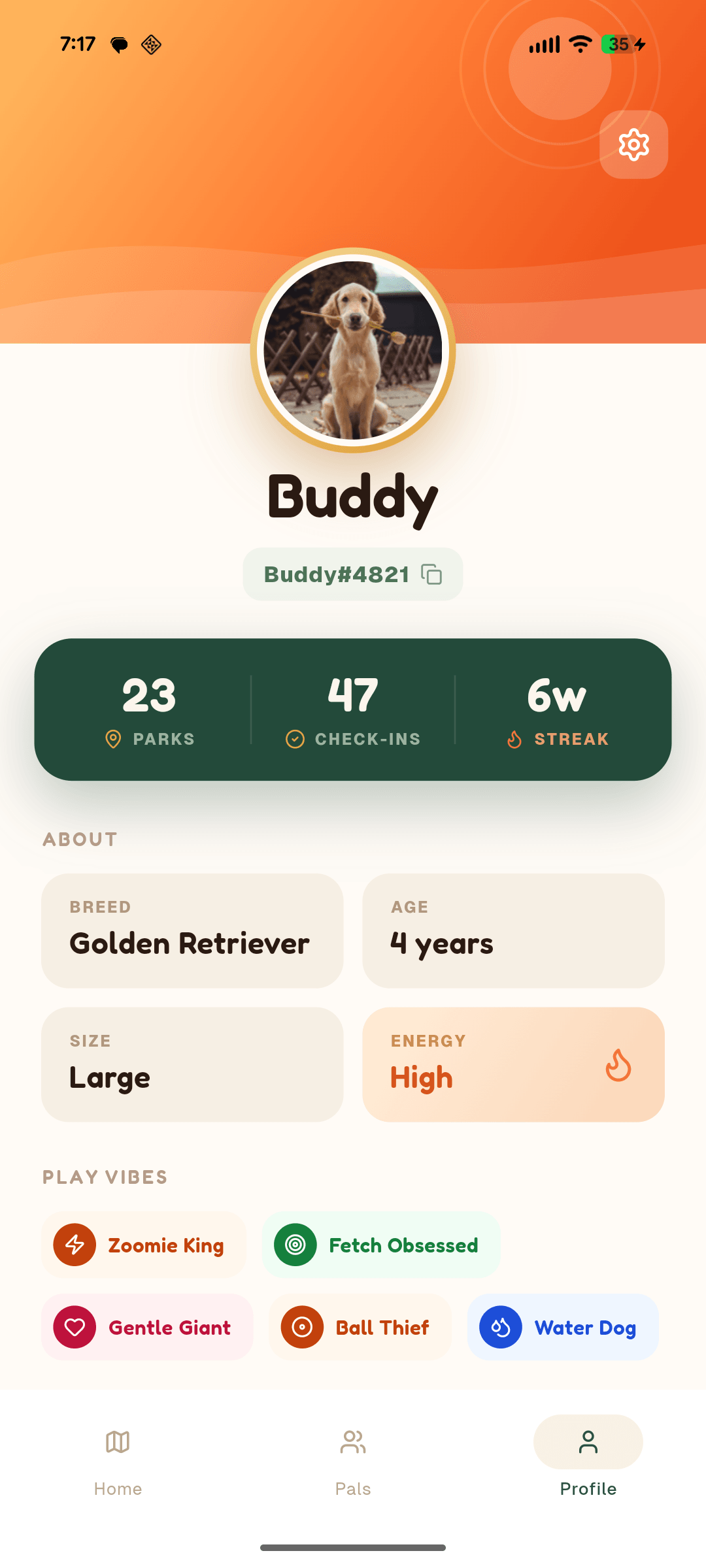 Buddy's dog profile — a gold-ringed avatar over a sunrise-orange banner, PuppyTag Buddy#4821, a deep-green stats strip with 23 parks, 47 check-ins and a 6-week streak, About cards for breed, age, size and energy, and colorful Play Vibes chips like Zoomie King and Fetch Obsessed.